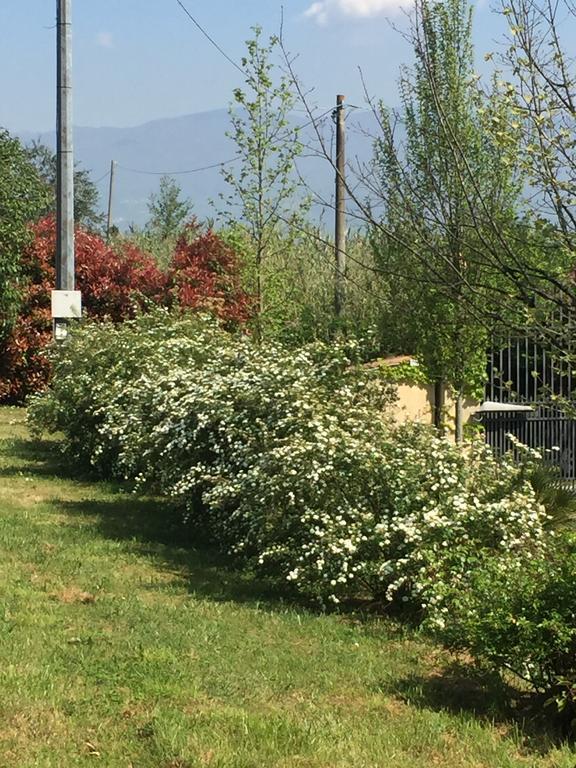Lago Gabbiano Podere Casanova Pistoia Exterior photo