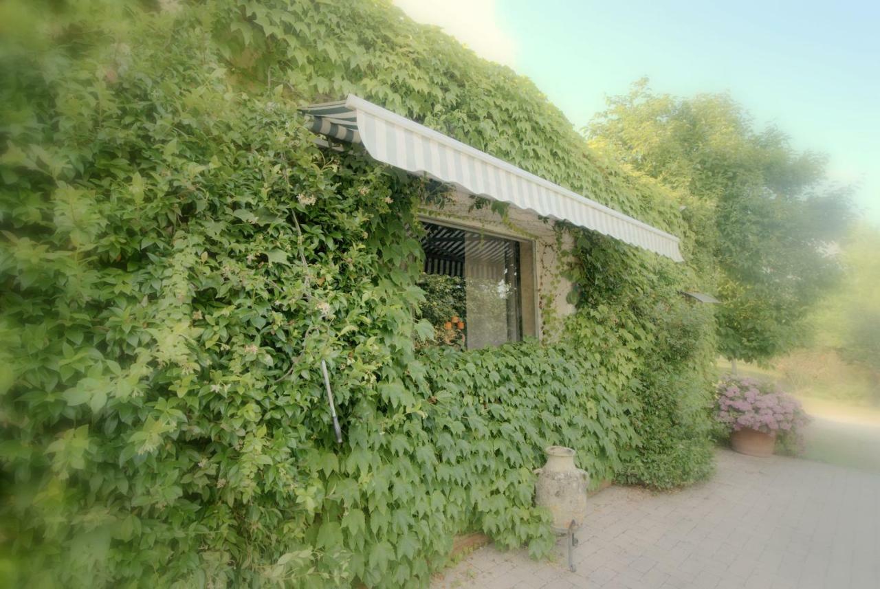 Lago Gabbiano Podere Casanova Pistoia Exterior photo